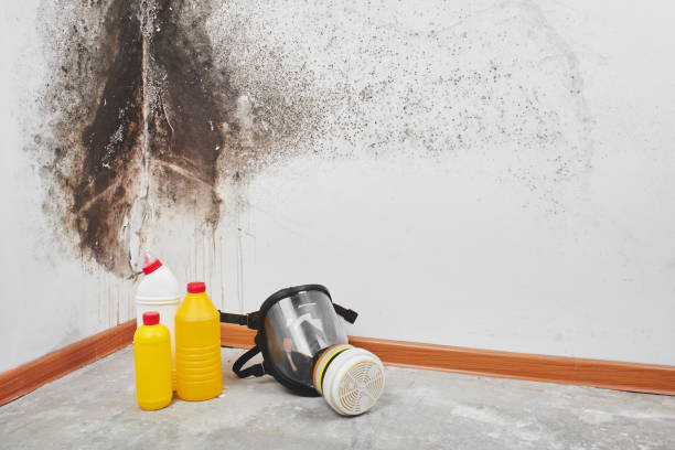 Crawl Space Mold Removal in Rivanna, VA