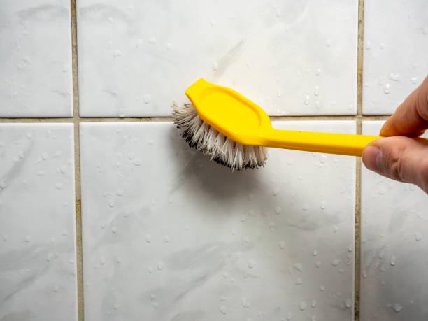 Best Commercial Mold Removal  in Rinna, VA