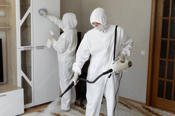 Best Crawl Space Mold Removal  in Rinna, VA