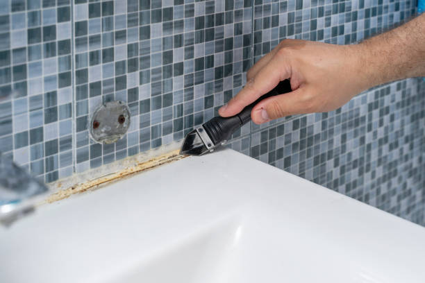 Best Residential Mold Removal  in Rinna, VA