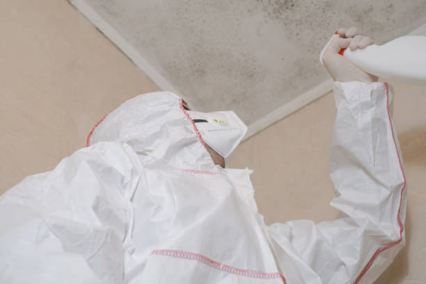 Best Attic Mold Removal  in Rinna, VA