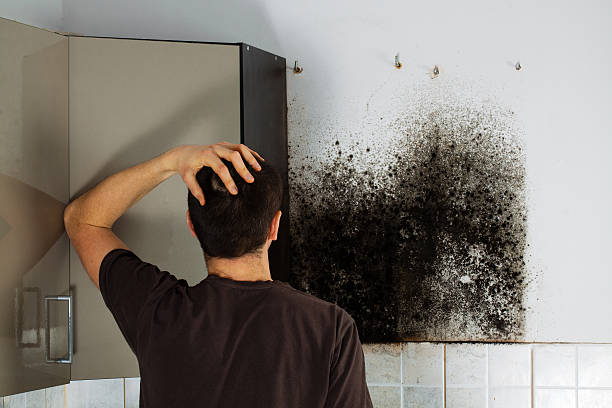 Best Mold Cleaning Services  in Rinna, VA