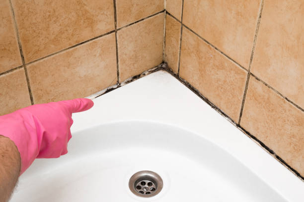 Best Local Mold Removal Service  in Rinna, VA